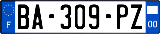 BA-309-PZ