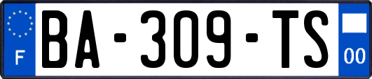 BA-309-TS