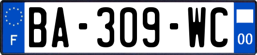 BA-309-WC