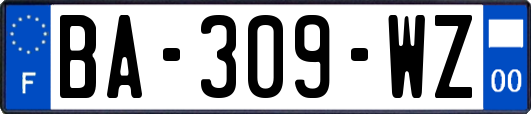 BA-309-WZ