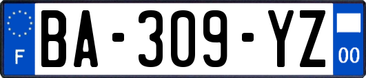 BA-309-YZ