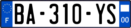 BA-310-YS