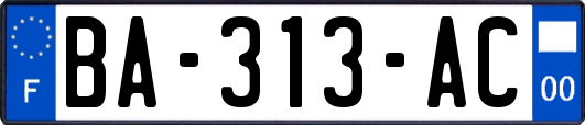 BA-313-AC