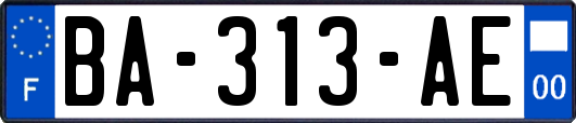 BA-313-AE