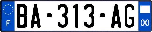 BA-313-AG