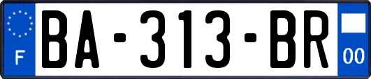 BA-313-BR