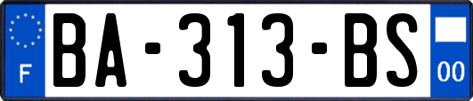 BA-313-BS