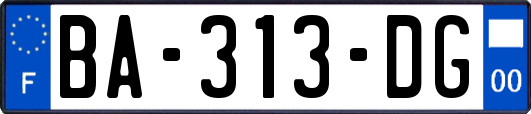 BA-313-DG