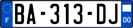 BA-313-DJ