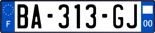 BA-313-GJ