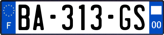 BA-313-GS