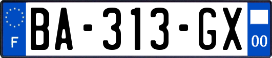 BA-313-GX