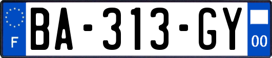 BA-313-GY
