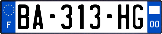 BA-313-HG