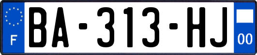 BA-313-HJ