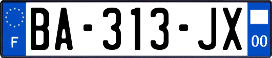 BA-313-JX
