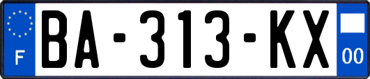 BA-313-KX