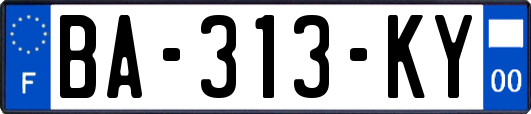 BA-313-KY