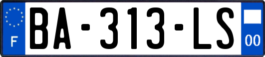 BA-313-LS