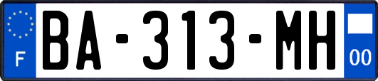 BA-313-MH