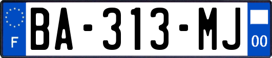 BA-313-MJ