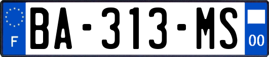 BA-313-MS