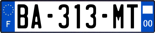 BA-313-MT