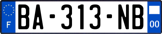 BA-313-NB