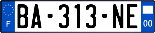 BA-313-NE