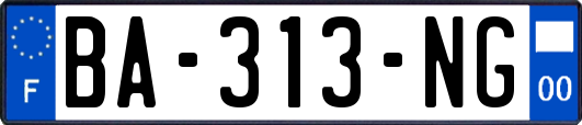 BA-313-NG