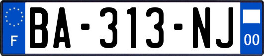 BA-313-NJ