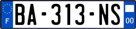 BA-313-NS