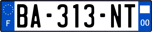 BA-313-NT