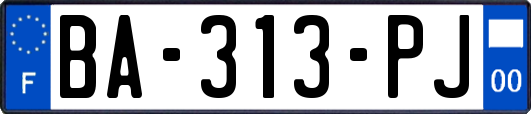 BA-313-PJ