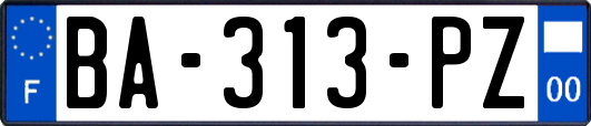 BA-313-PZ