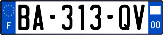 BA-313-QV