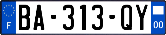 BA-313-QY