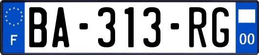 BA-313-RG