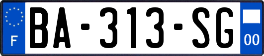 BA-313-SG