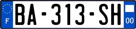 BA-313-SH