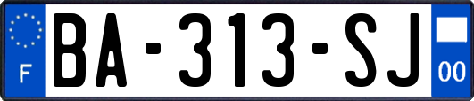 BA-313-SJ