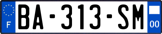 BA-313-SM