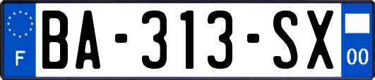 BA-313-SX