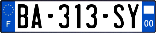 BA-313-SY