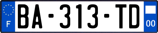 BA-313-TD