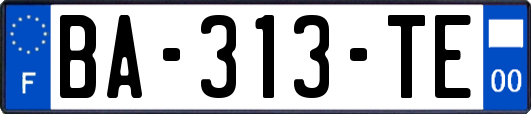 BA-313-TE
