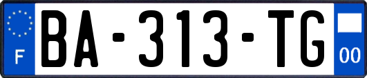 BA-313-TG