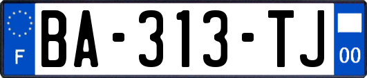 BA-313-TJ