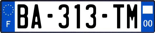 BA-313-TM
