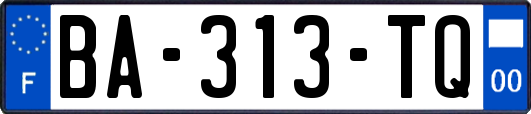 BA-313-TQ
